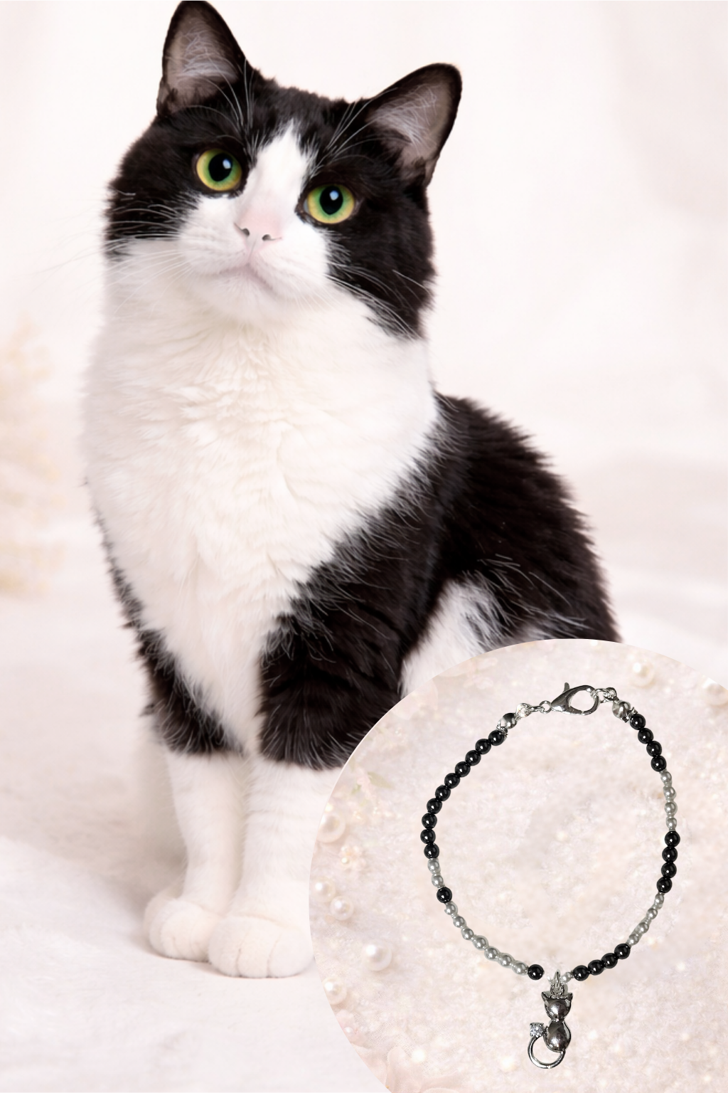 Furever Promise