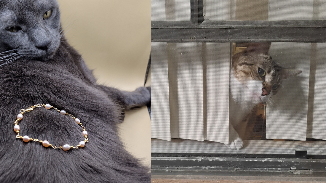 When Love Calls From the Other Room: A Healing Moment With Earl & Chamie