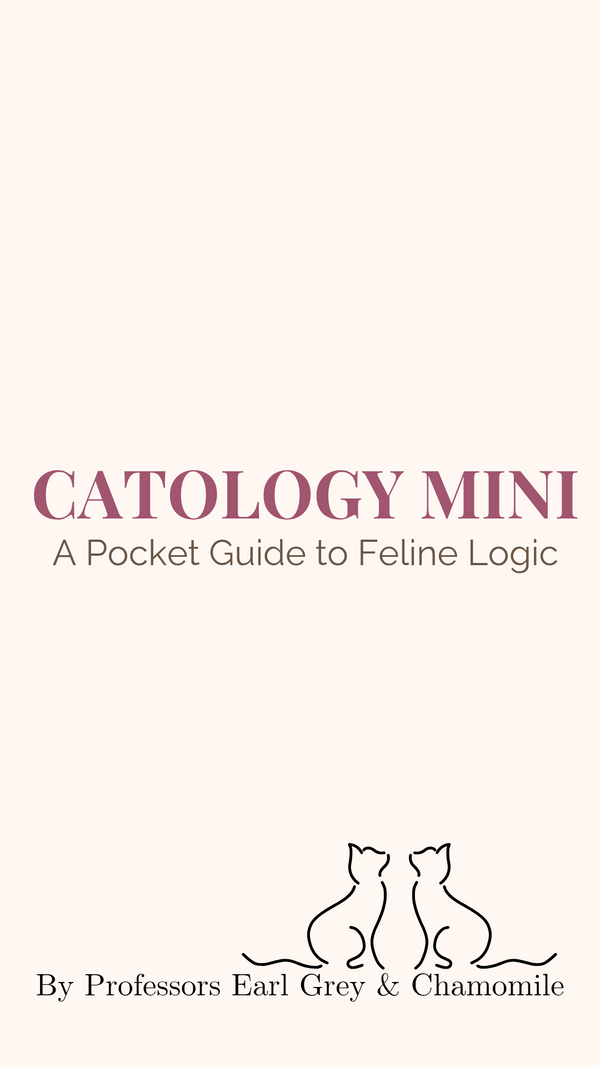 A little gift for you: Catology Mini