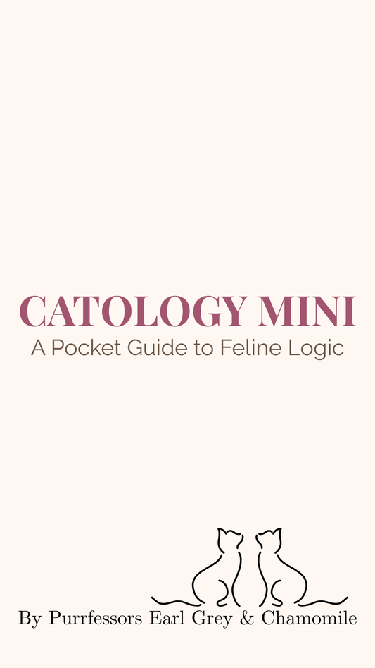 Catology: Mini